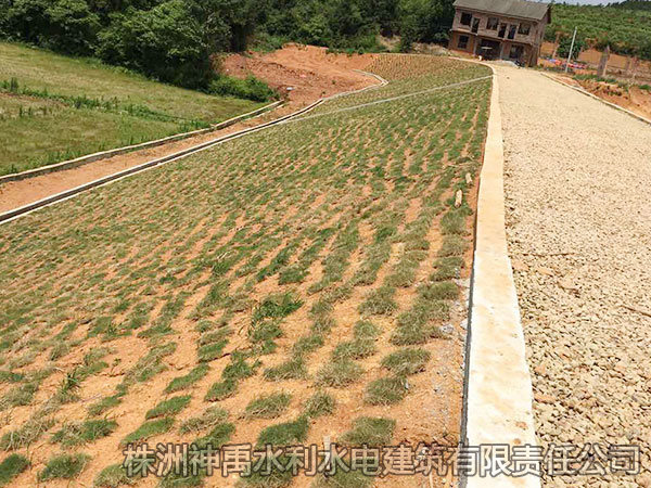 攸縣水庫除險加固